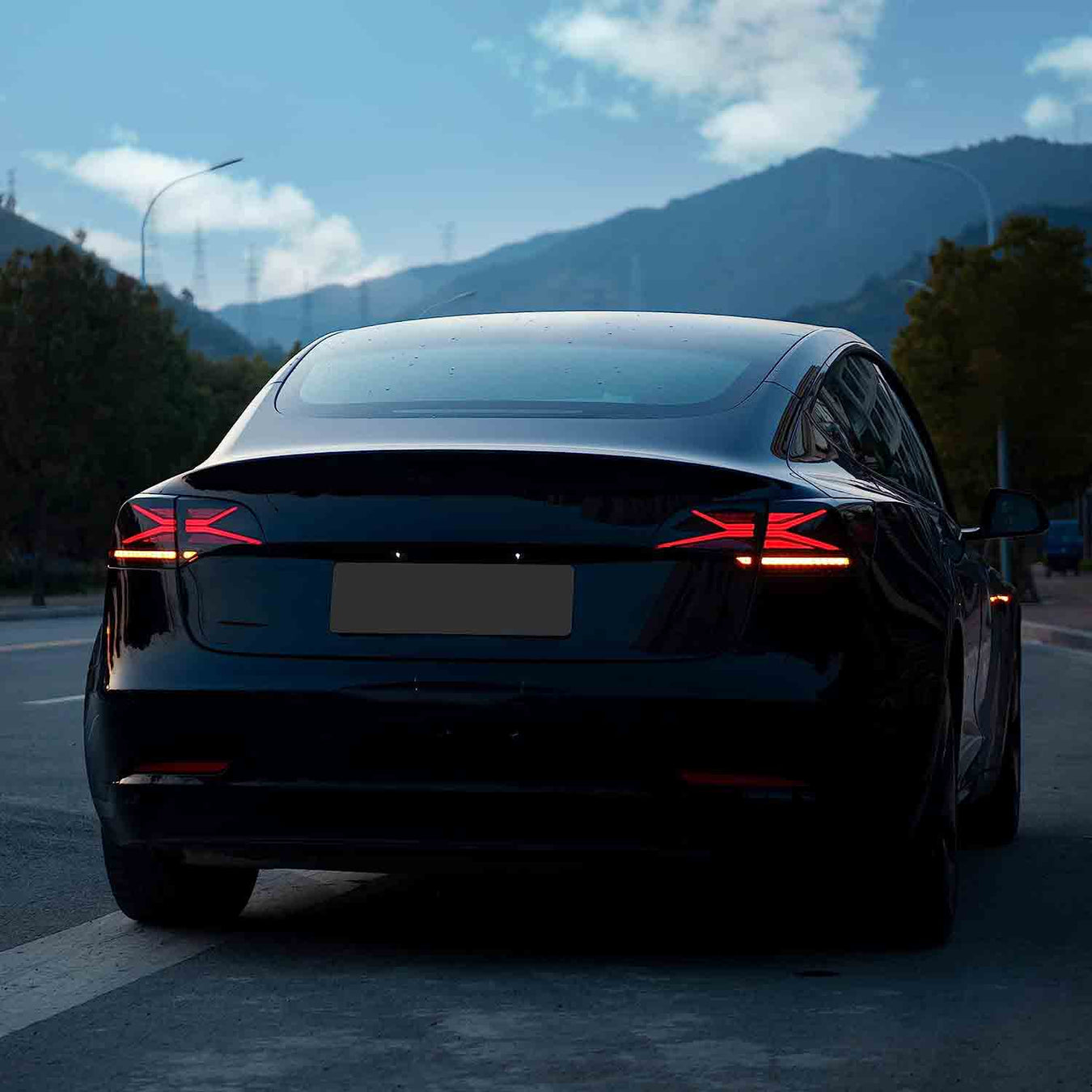 Tesla Headlights Tail Lights